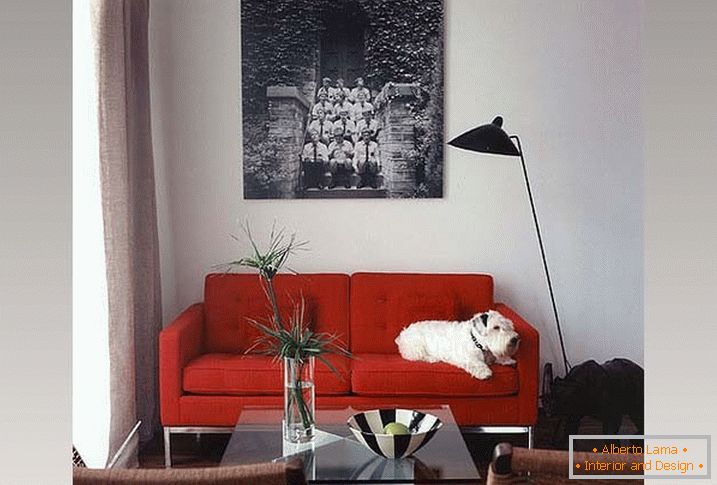 Sofá vermelho na pequena sala de estar