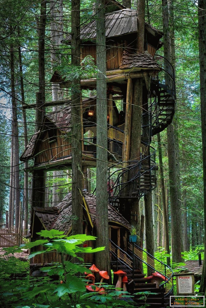 Casa da Árvore de Três Histórias (Colúmbia Britânica, Canadá)