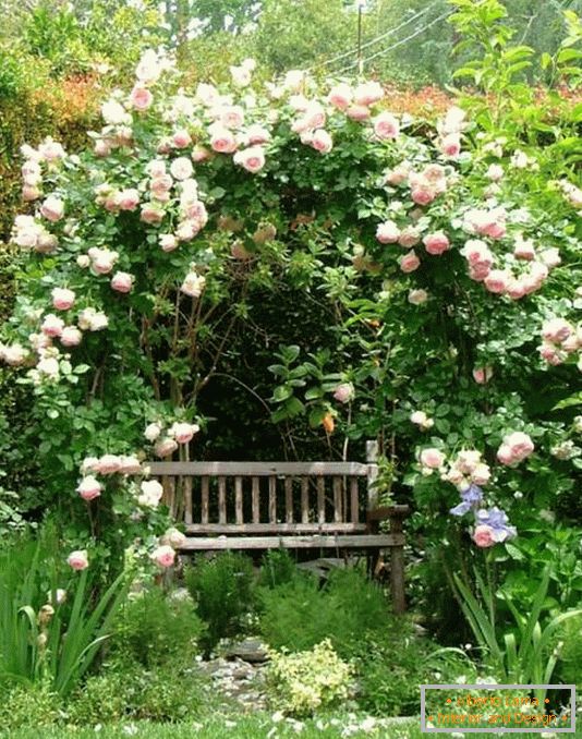 Um lugar isolado para relaxar no jardim