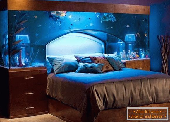 camas de cabeça de aquário
