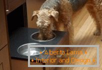 Design para animais de estimação: fazer um lugar para comer um cachorro