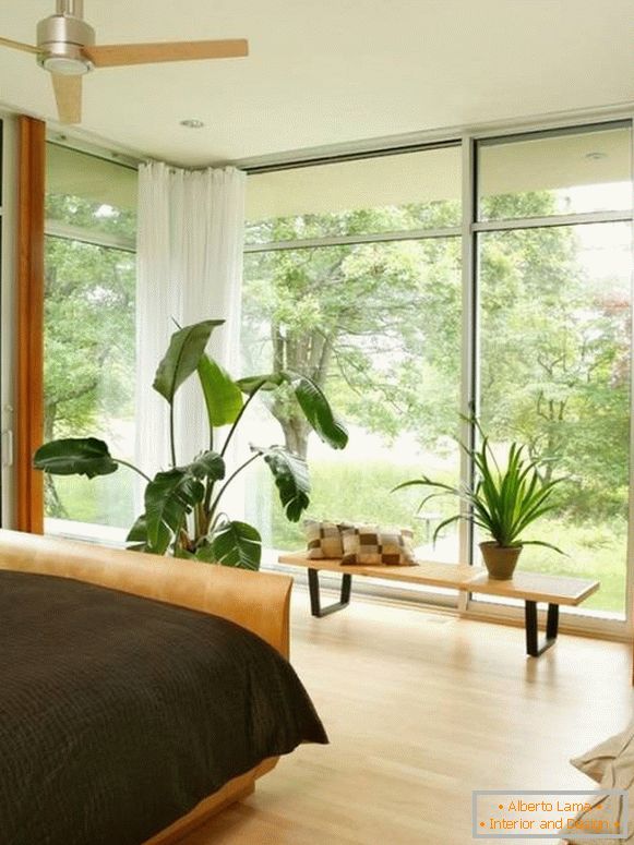 Grandes janelas e vasos de plantas no quarto