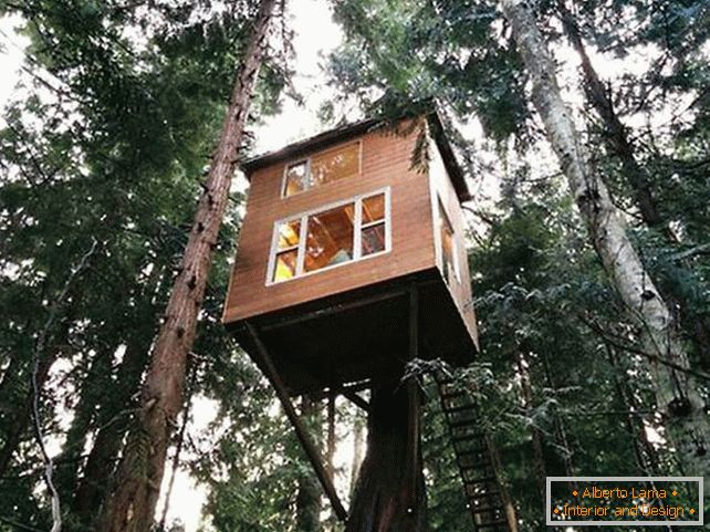 Uma casa em uma árvore com uma escada. Visão geral