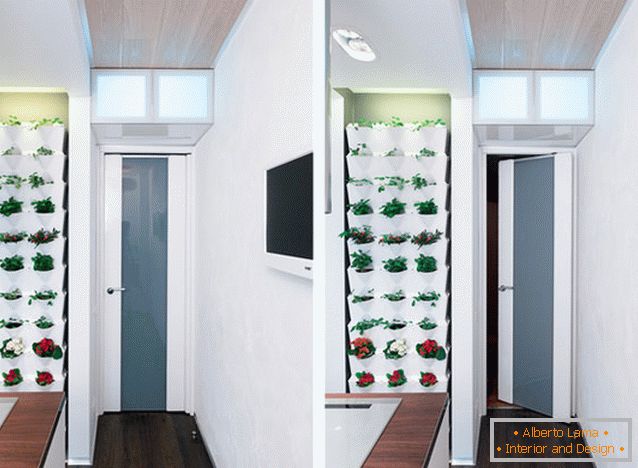 Plantas de interior em design de cozinha