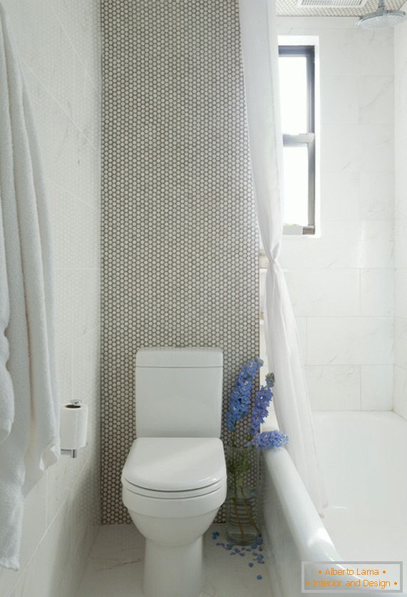 Vaso sanitário e banho brancos na sala de mármore