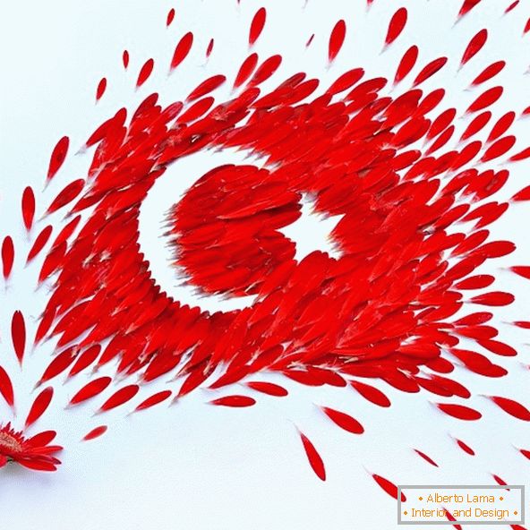 Bandeira da Turquia de pétalas de flores