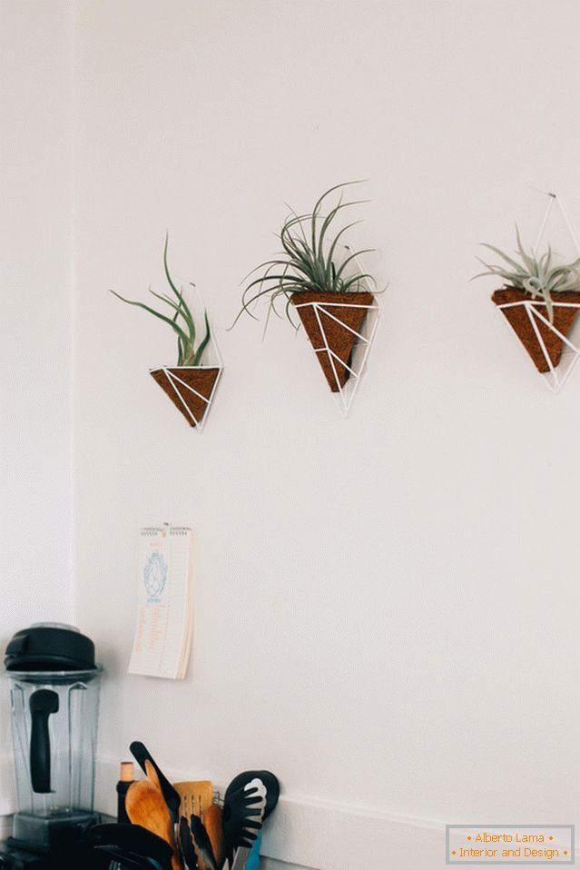 Plantas na parede