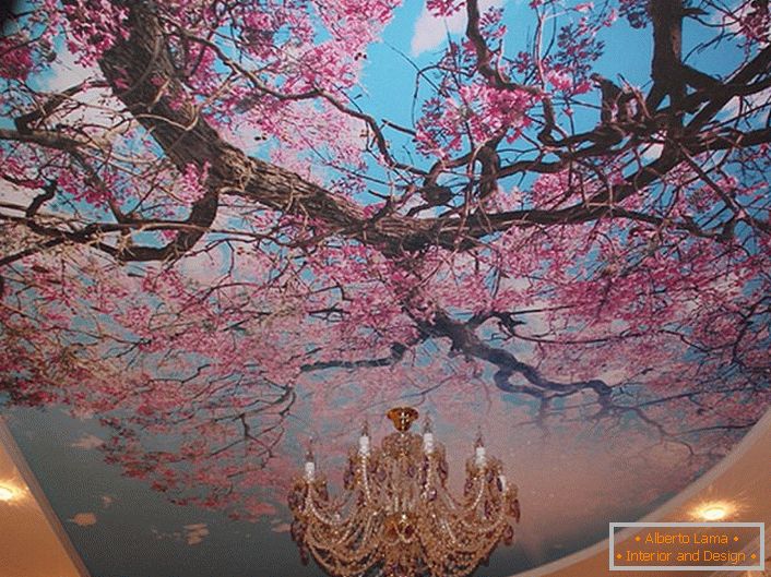 Flores de cerejeira em flor são freqüentemente usadas por designers modernos para decorar tetos. A solução real para registro de um quarto de hóspedes ou um salão.