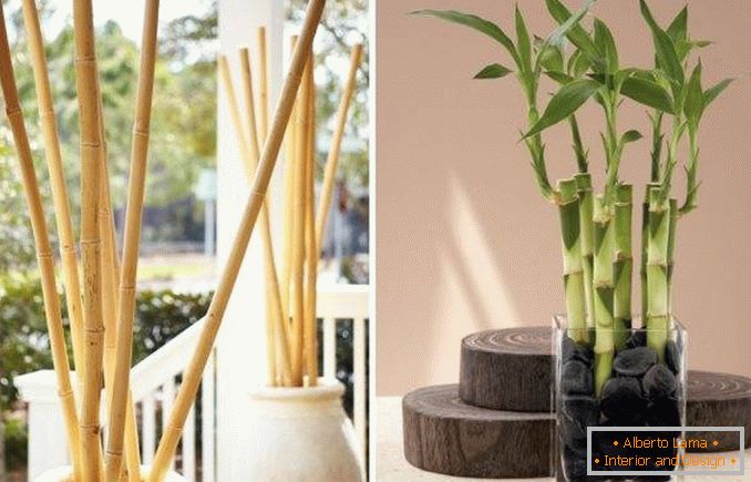 Bambu como decoração