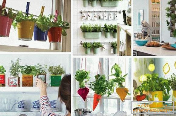 Original decoração da cozinha - fotos de idéias com ervas verdes
