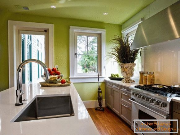 Projeto de cozinha com paredes e teto verdes