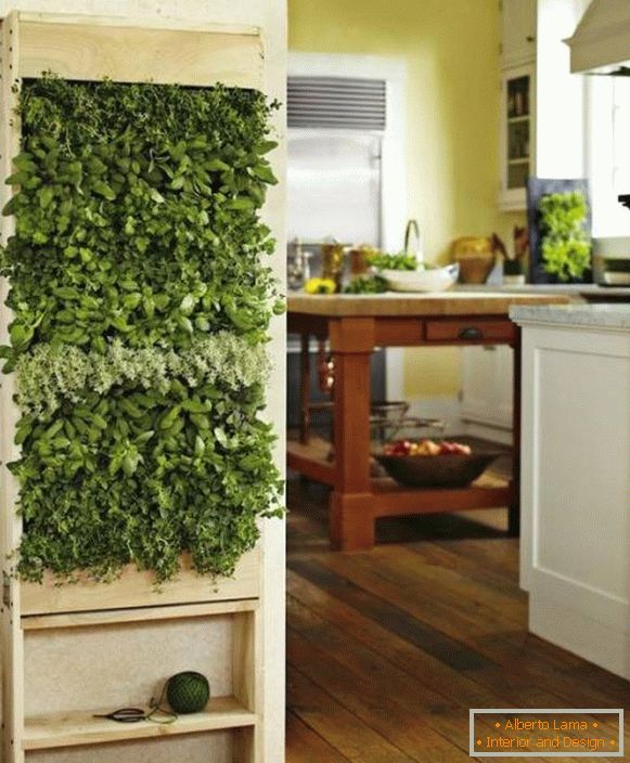 Plantas verdes na cozinha