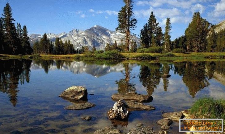 Descanse em Yosemite National Park (EUA)