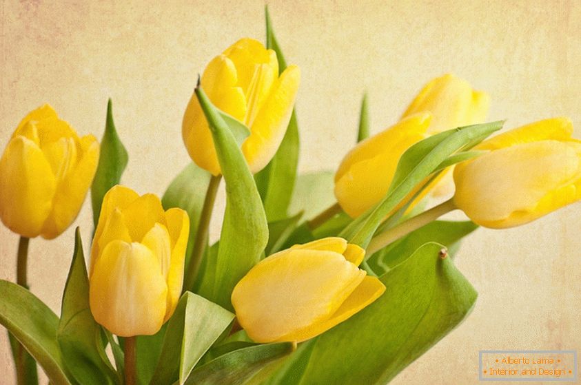 Um buquê de tulipas amarelas