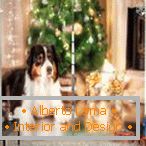Um, cão, em, um, árvore natal, ligado, um, cortina