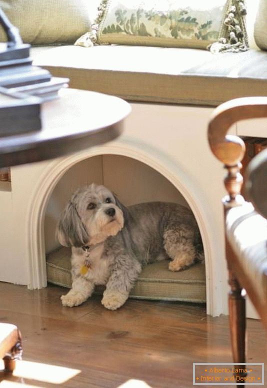 Casa aconchegante para um cachorro em um apartamento