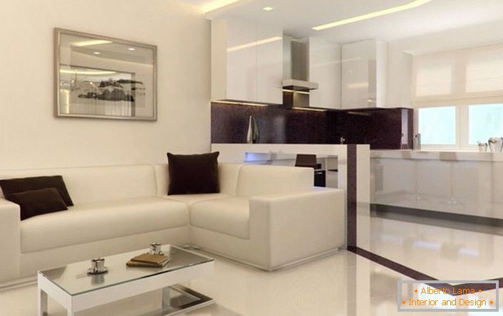 Apartamento estúdio no estilo do minimalismo é espaçoso e luminoso. Elementos decorativos supérfluos do interior não sobrecarregam o interior.