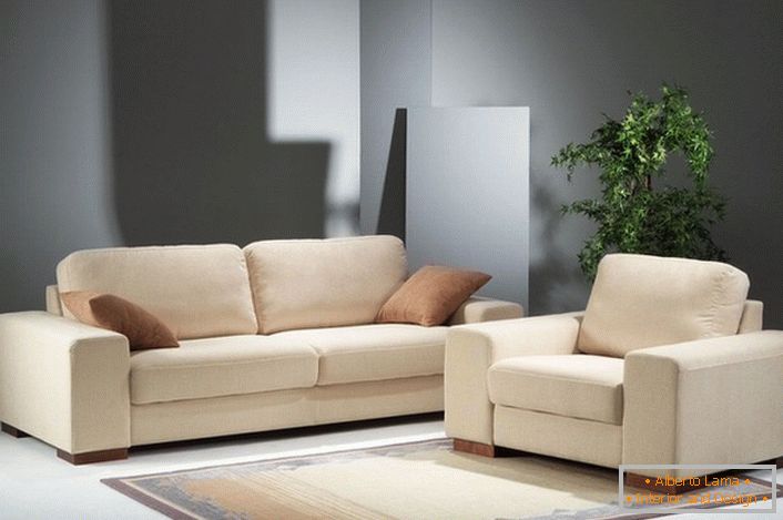 Nós escolhemos sofás modulares para ordenar o design, cor, finalidade.