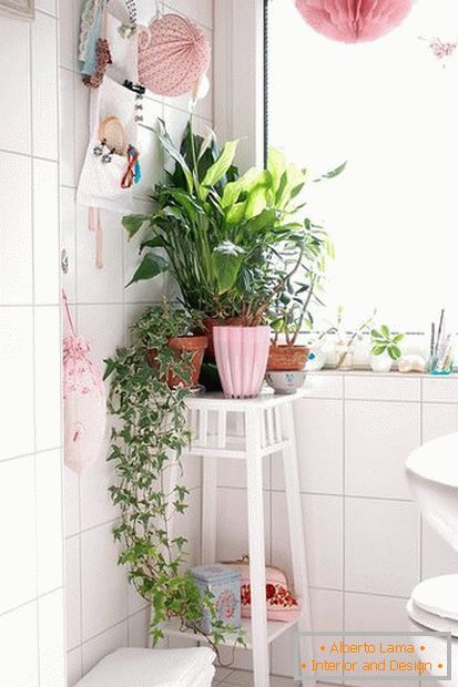 Plantas no canto do banheiro