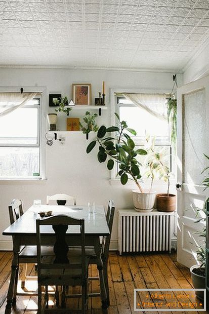 Plantas no interior de uma sala de jantar