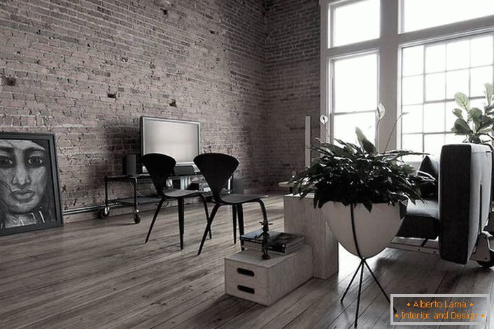 Laminado cinza escuro na sala de estar parece perfeito. Para decoração de interiores em estilo loft, você pode usar fotos incomuns.