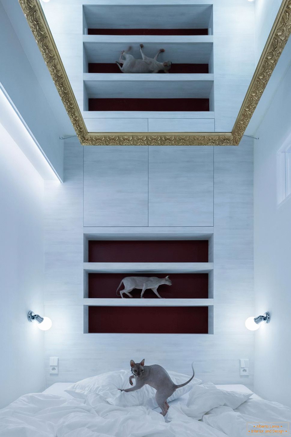 Design moderno de um pequeno apartamento - gatos no interior