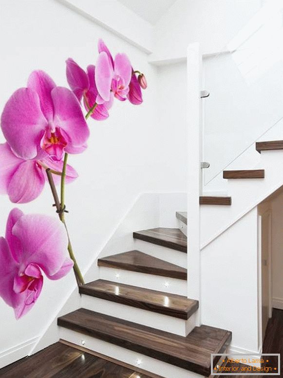 Fotos de orquídeas nas escadas