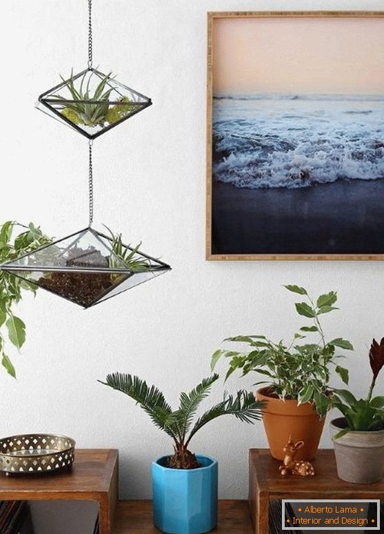 Pingente de decoração - vasos de vidro com plantas