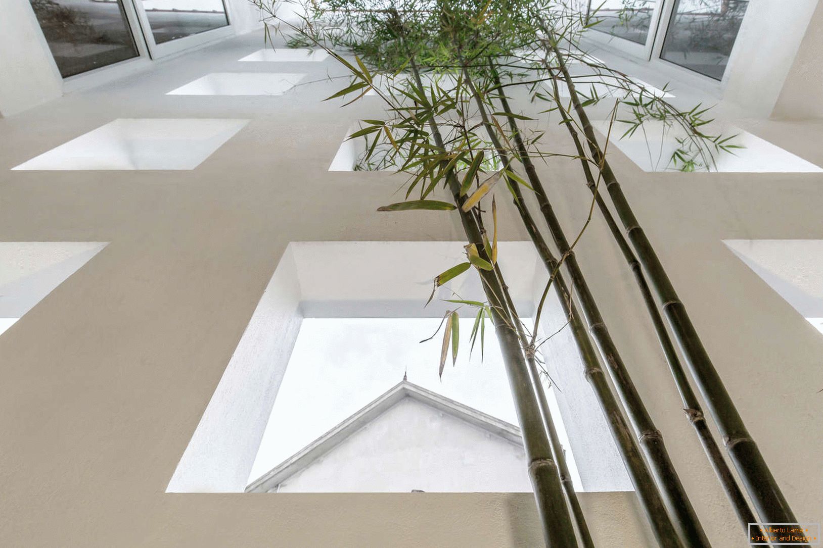 Bambu em uma casa estreita de concreto