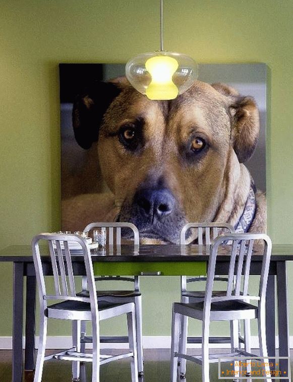 Foto do cachorro como decoração da parede