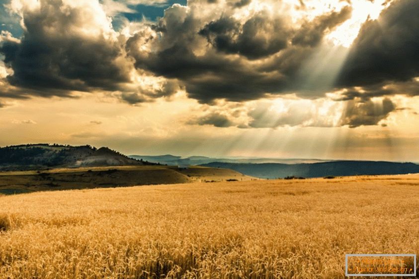 O sol faz o seu caminho através das nuvens, sobre o campo de trigo