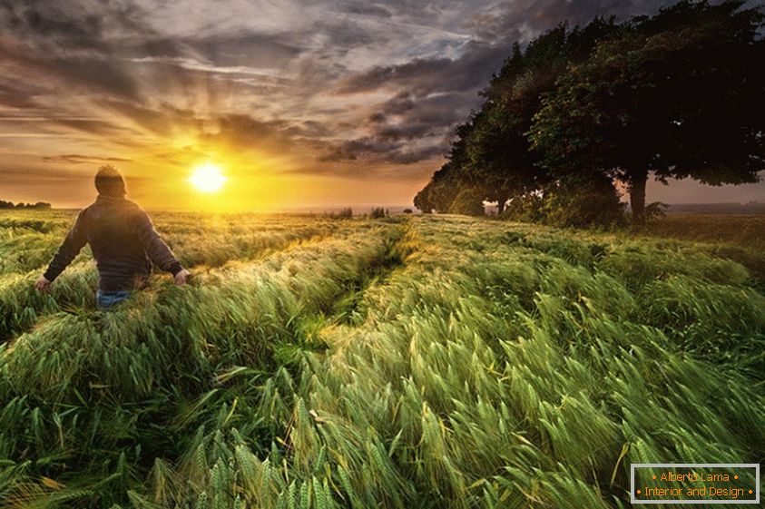 Um homem em um campo de trigo, fotógrafo Paul Wozniak