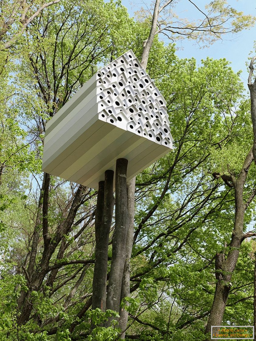 Casa na Árvore para Pássaros e Pessoas (Япония)