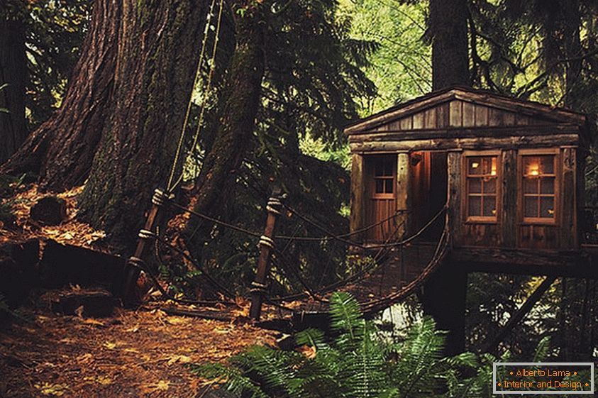 Casa na árvore em Seattle (Seattle, EUA)