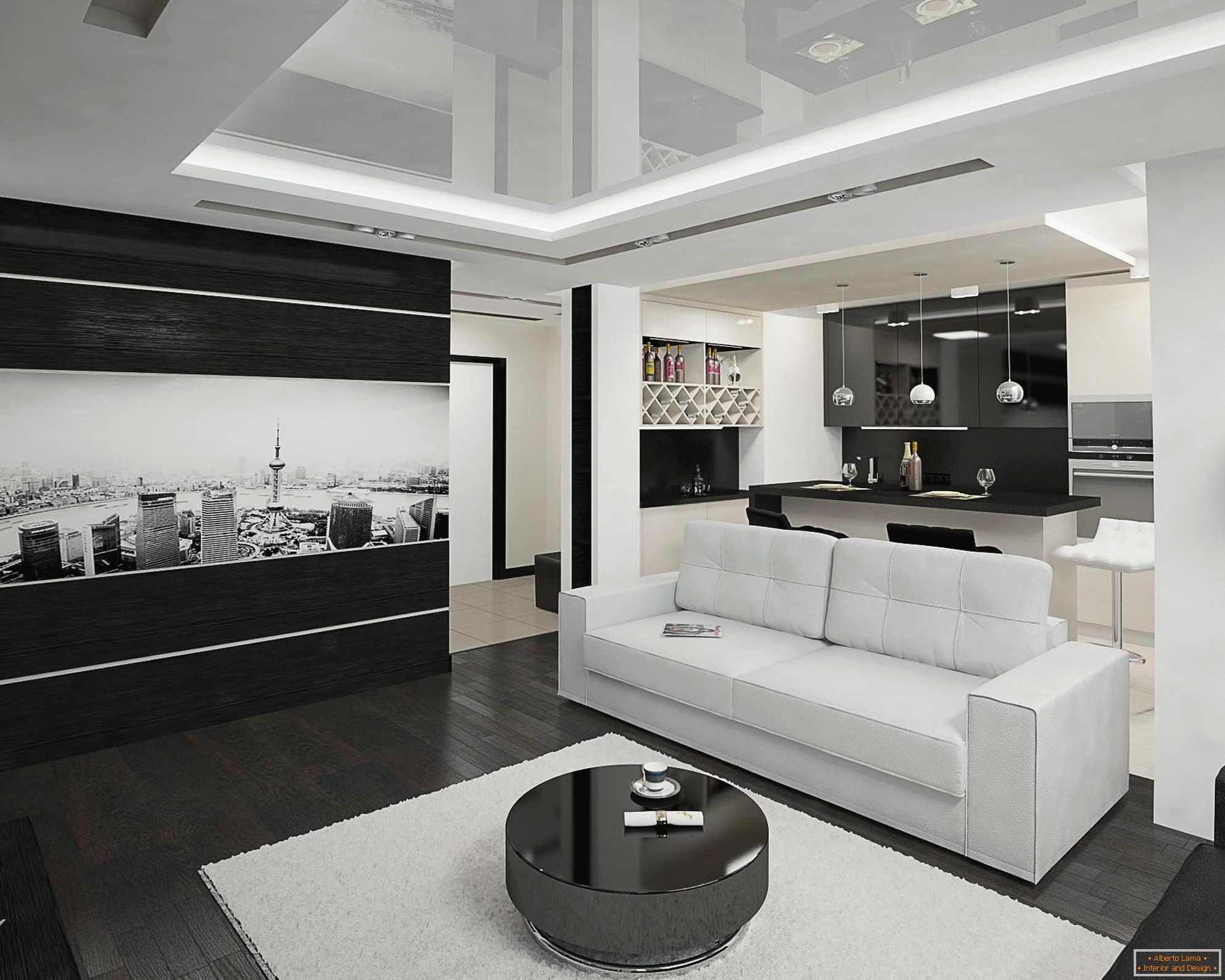 Cozinha preto e branco e sala de estar interior em 20 metros quadrados