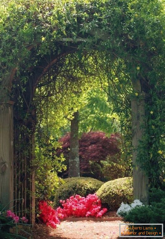 Arco com plantas no design do jardim