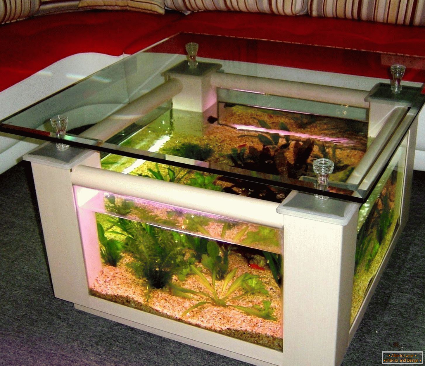 Mesa de café-aquário
