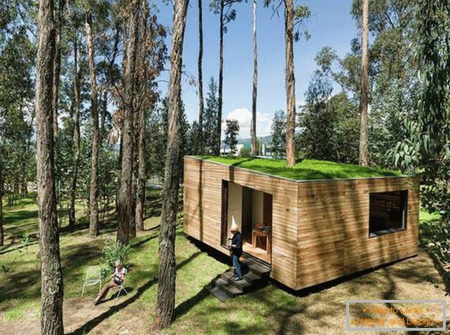 Casa pequena na floresta com telhado de musgo