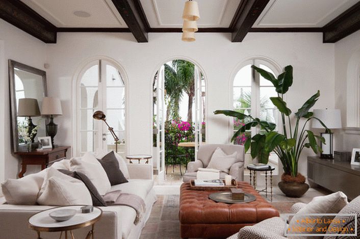 Комната для гостей оформлена в средиземноморском стиле. Uma elegante decoração de interiores é uma grande planta verde, plantada em um vaso de cerâmica.