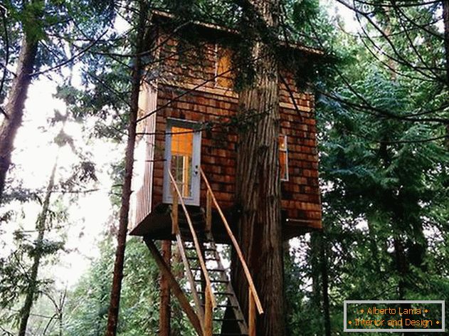 Uma casa em uma árvore com uma escada. Foto 1