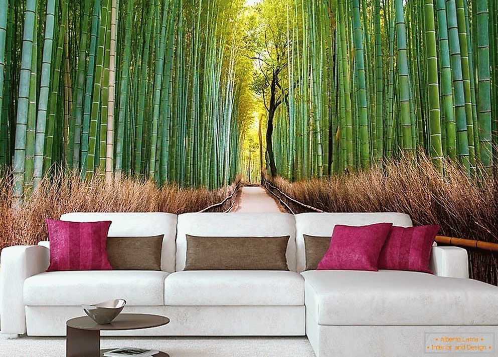 Bosque de bambu