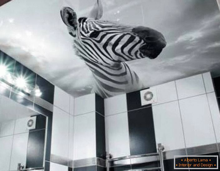 Uma solução incomum para decorar um banheiro preto e branco é a imagem de uma zebra em tetos esticados com impressão de fotos.