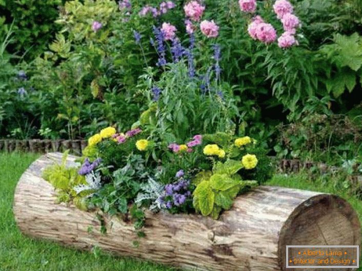 O canteiro de flores é plantado em um tronco velho. 