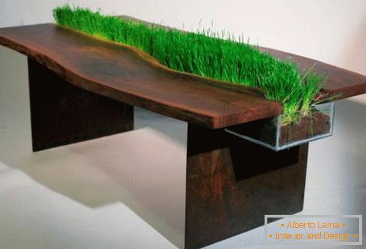 Decoração de uma mesa por plantas