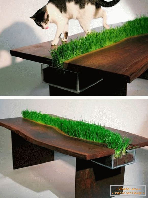 Mesa com uma planta inserida