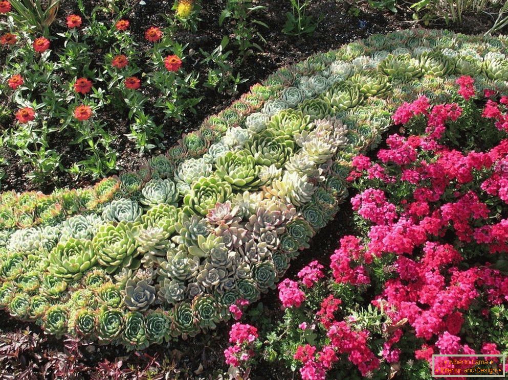 Decoração de um jardim de flores