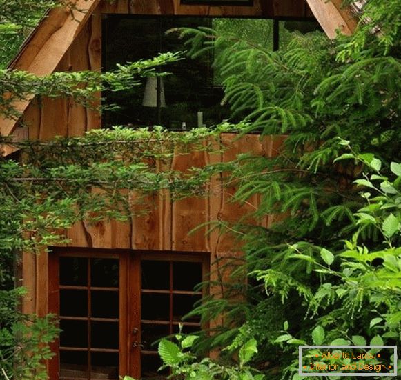 Casa pequena floresta (foto), США