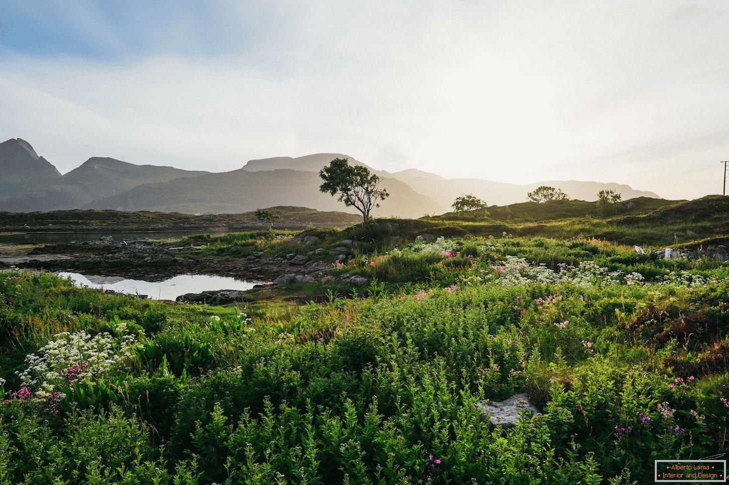 Suculenta paisagem dos campos da Noruega