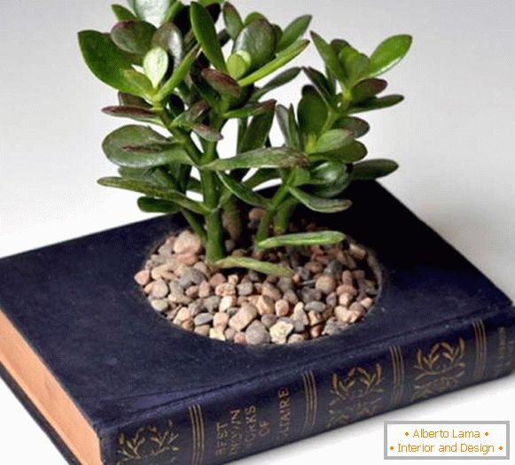 Pote de plantas do livro