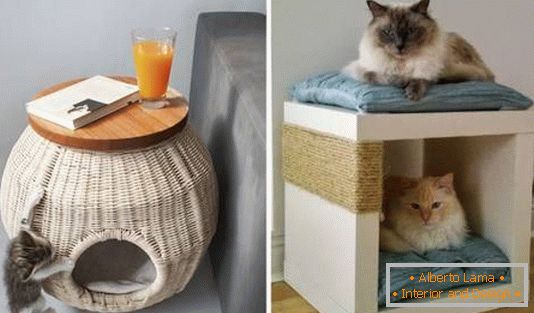Um lugar para um gato em um apartamento